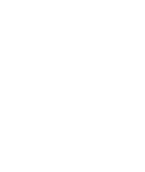 Apple iphone icon