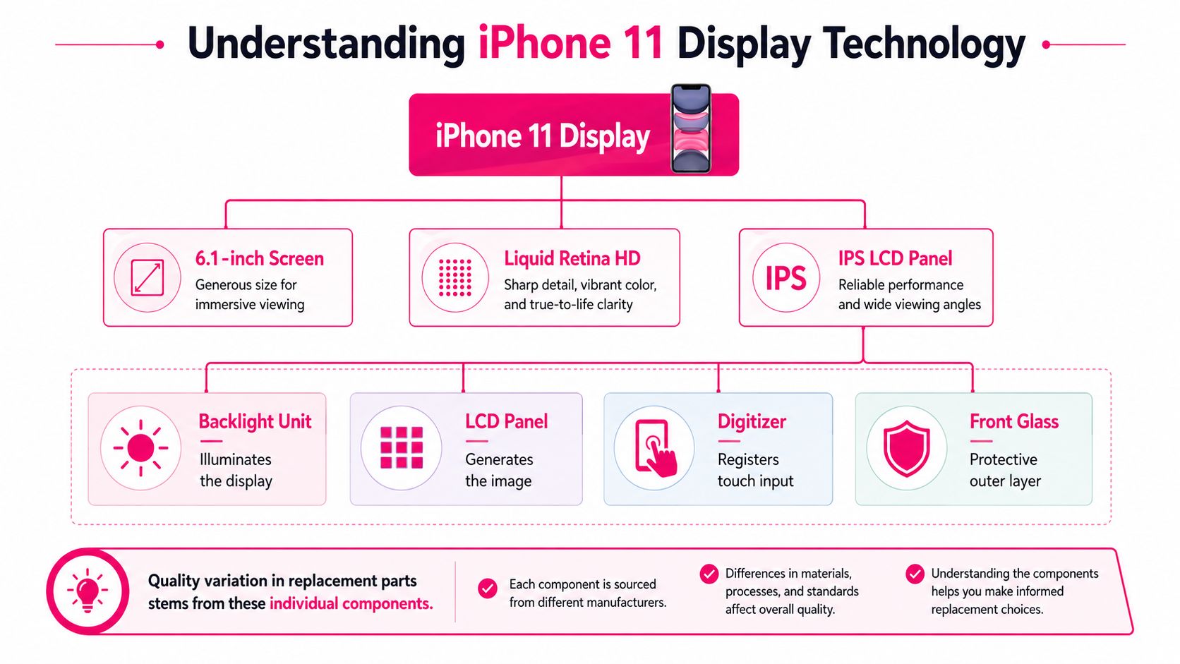 A diagram illustrating the display technology components of an iPhone 11, including the screen, panel, and layers.